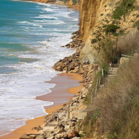 Chinarejo * Conil De La Frontera