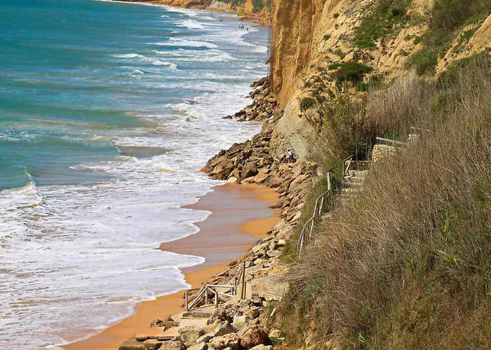 Chinarejo * Conil De La Frontera